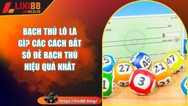 Bạch thủ lô là gì? Bạch thủ lô là gì?